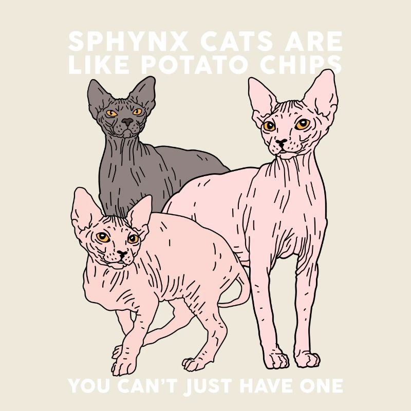 Sphynx Katzen Sphinx | Katzenbesitzer Geschenk