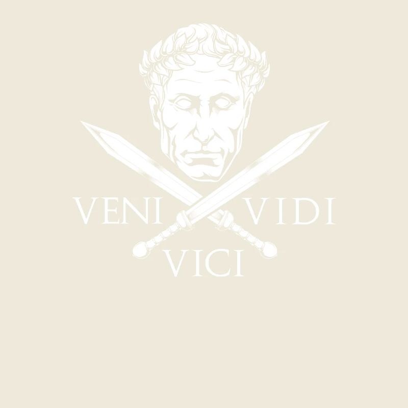 Caesar und Schwerter - Veni Vidi Vici