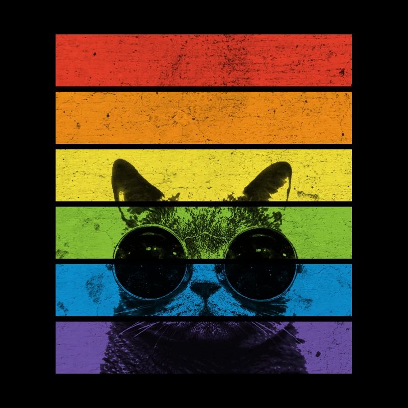 Pride Cat | Regenbogen | Katzenliebhaber