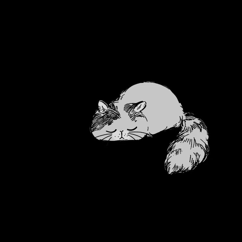 Lazy cat not today and tomorrow also non-putty