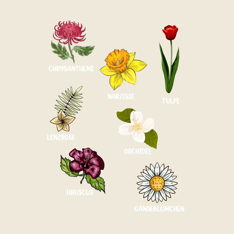 Espèces de fleurs Fleurs