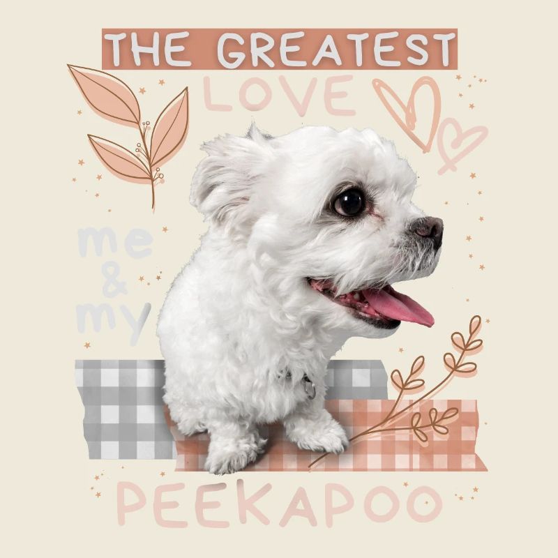Peekapoo, chien, dicton drôle