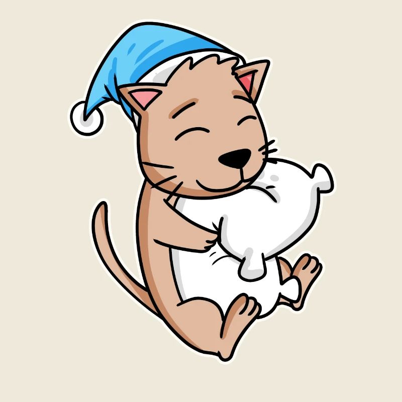 Cat with sleeping cap and pillow