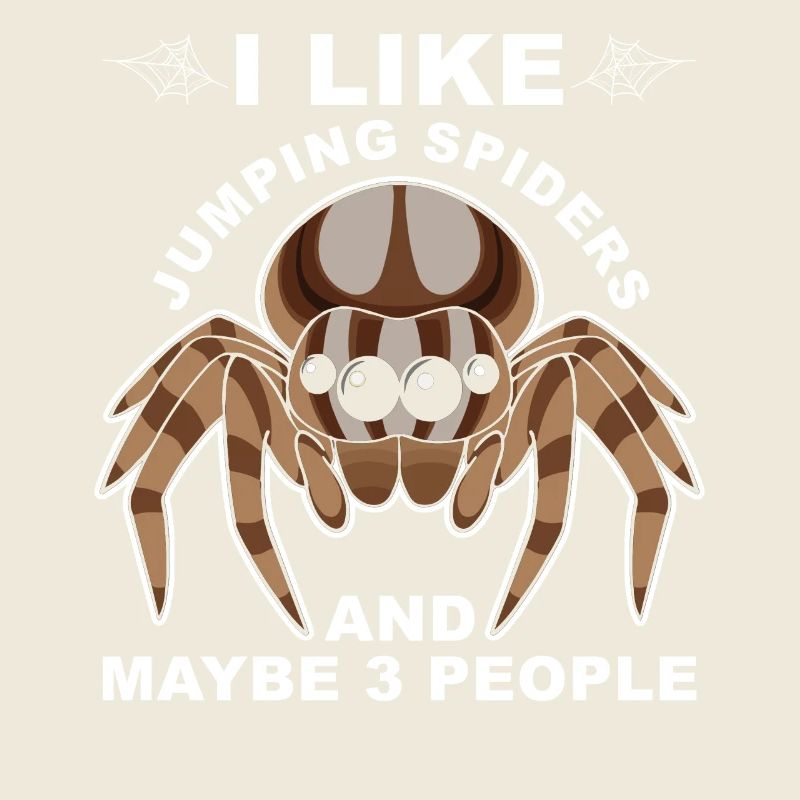 Dicton Jumping Spider