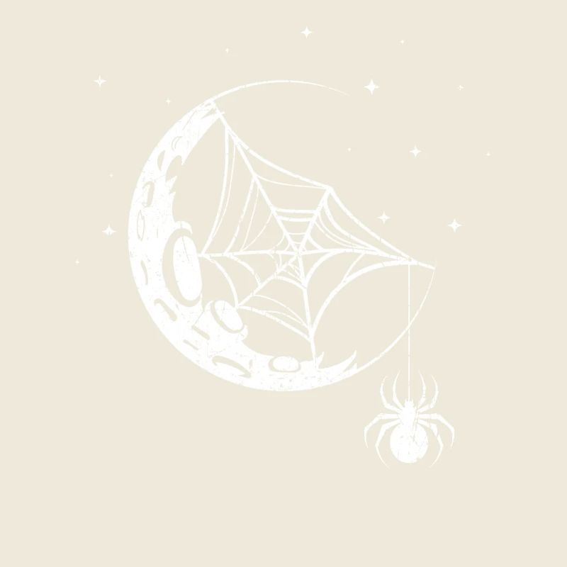 Araignée Toile d’araignée