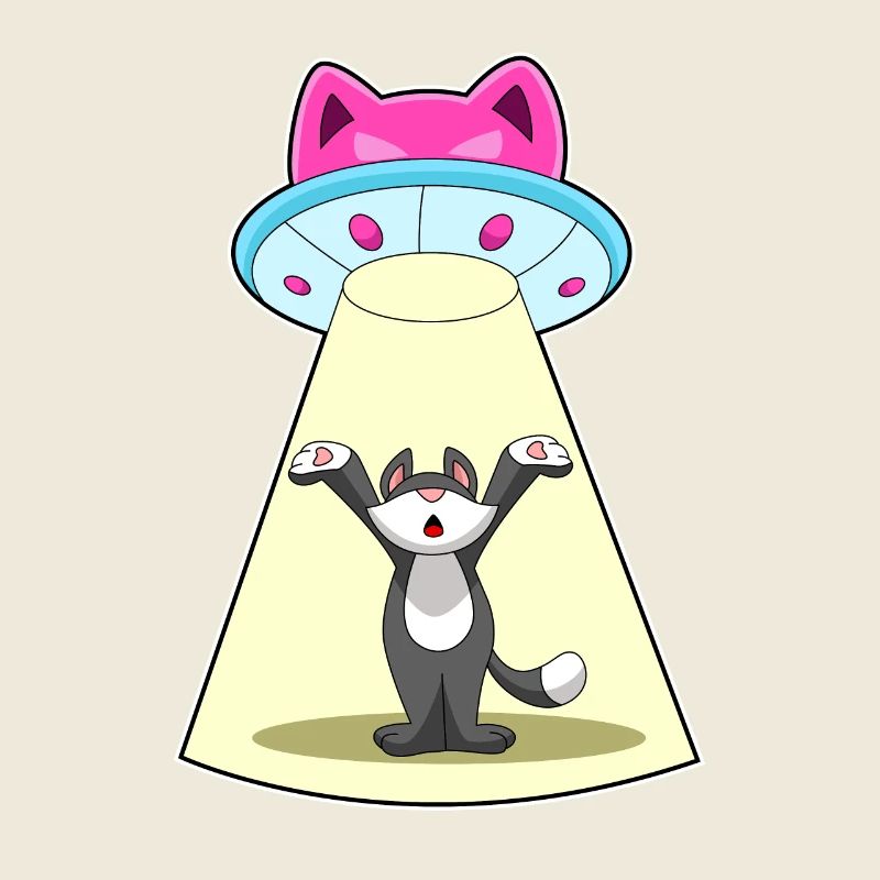 Vaisseau spatial pour chat