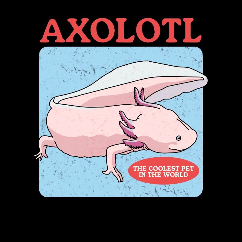 Axolotl Amphibiens à queue Axolotls Cadeau