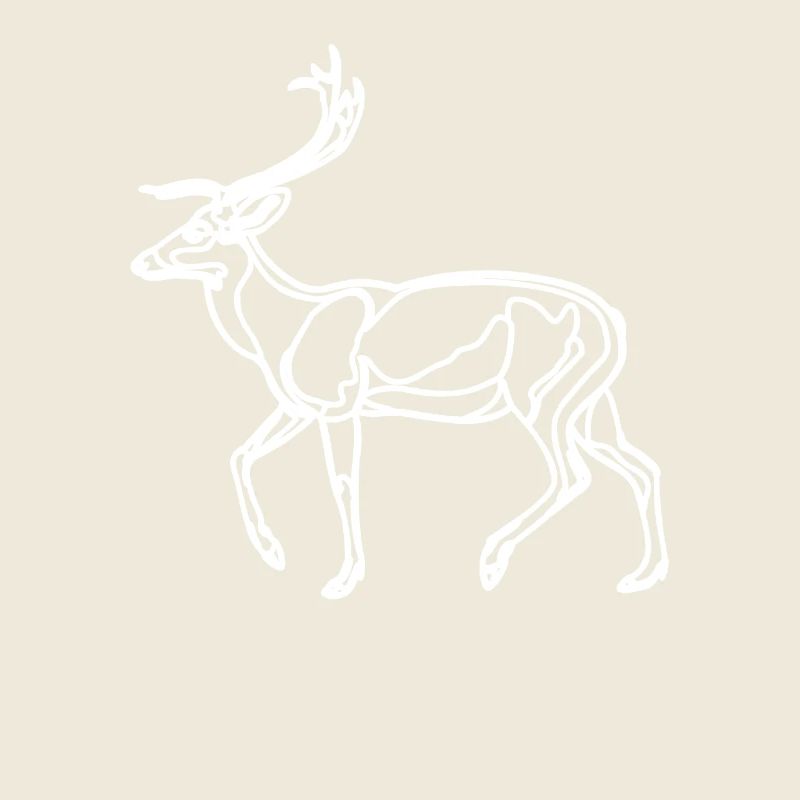 Drawing of the deer