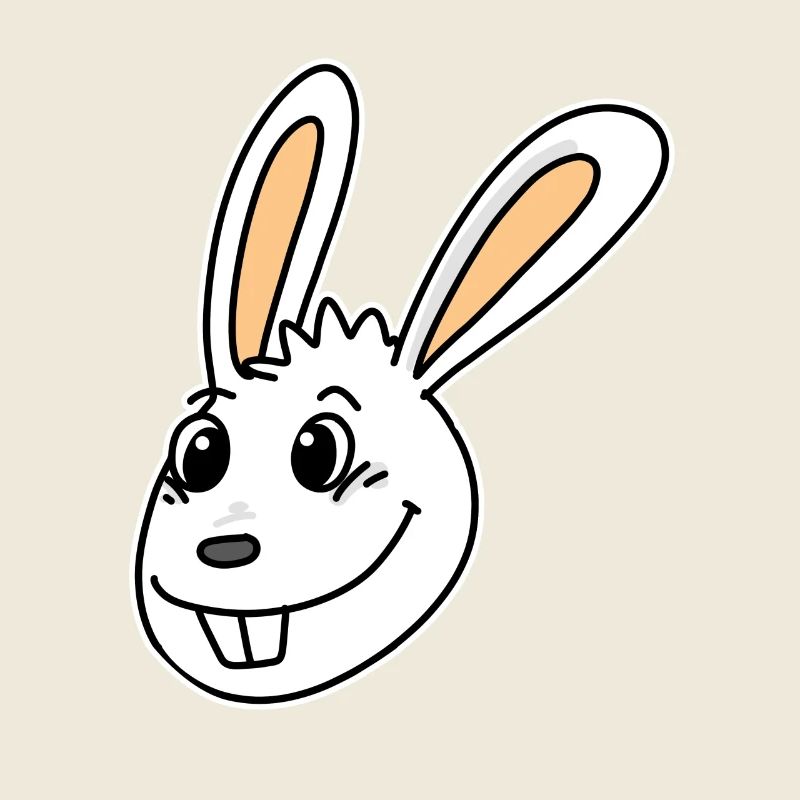 Rabbit Head Animal Head