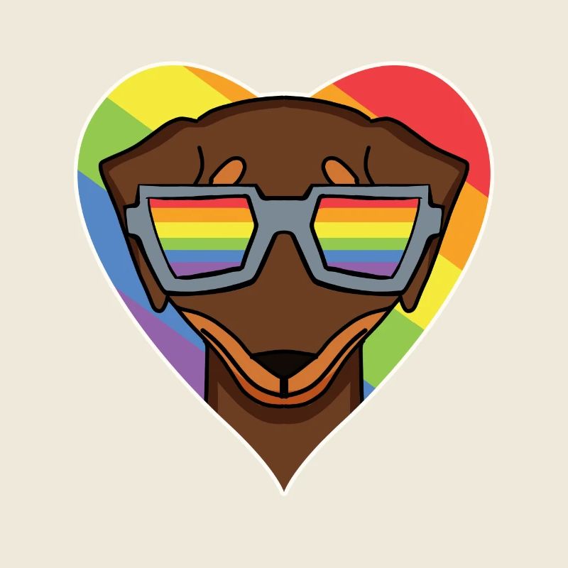 Arc-en-ciel - Chien à lunettes - Teckel