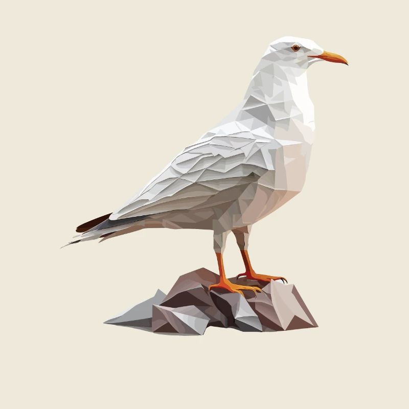 Mouette polygonale sur rochers