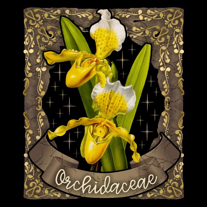 Orchids vintage botanical illustration