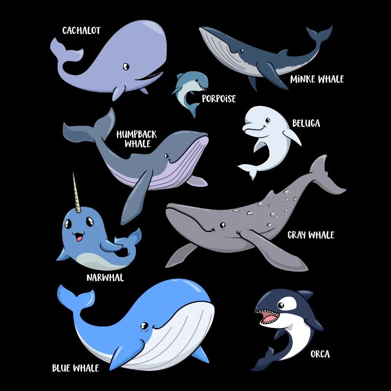 Diverses baleines kawaii
