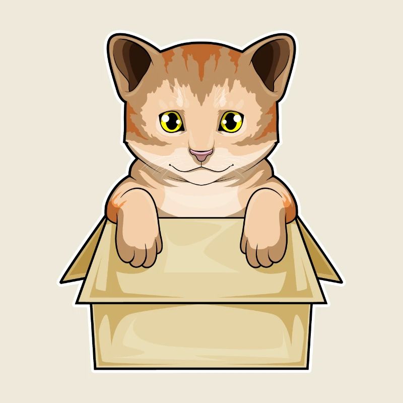 Katze Box