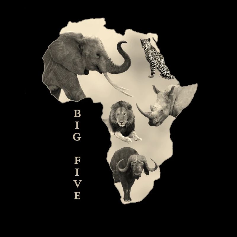 Afrique Big 5 - Eléphant Lion Léopard Rhinocéros Buffle