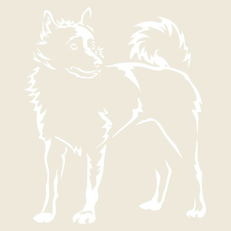 Schipperke "Black Edition"