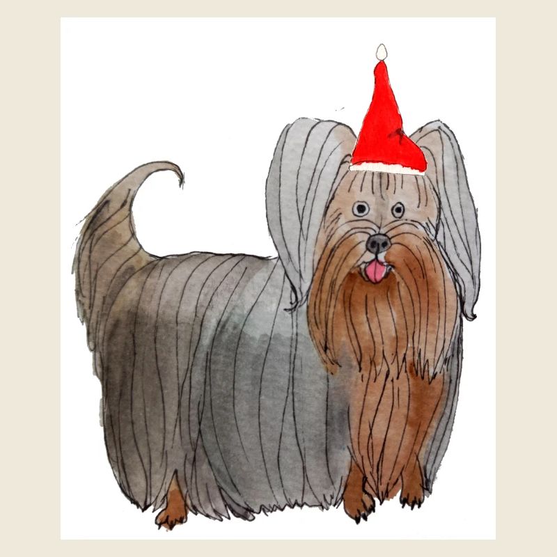 Yorkshire Terrier Weihnachten