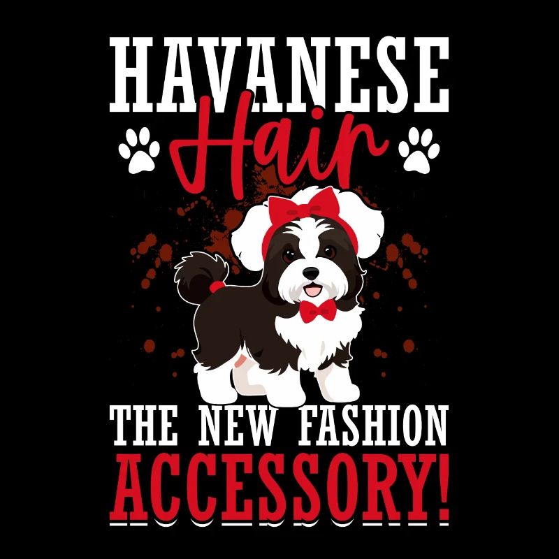 Le bichon havanais : le nouvel accessoire de mode