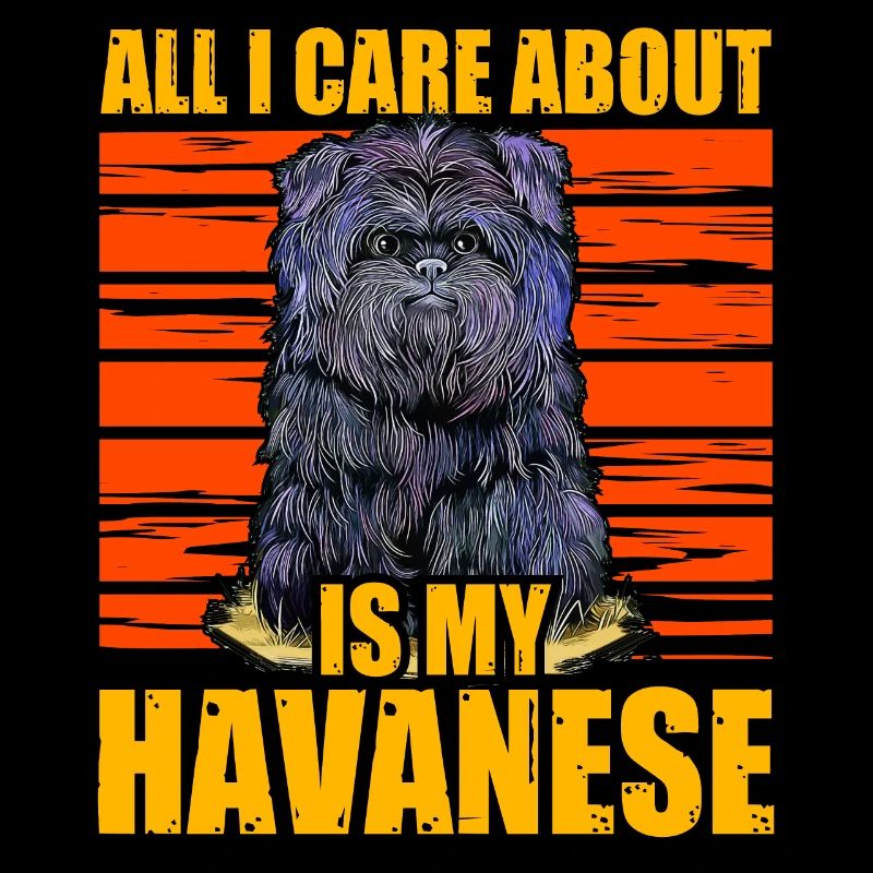 Tout ce qui m’importe, c’est mon bichon havanais