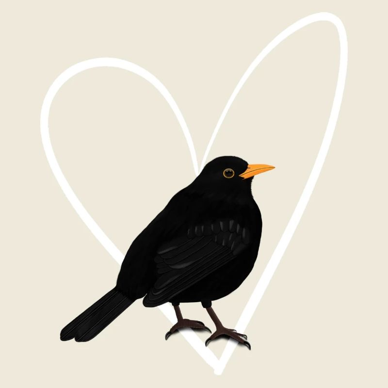 Amsel Herz Vogel Vogelbeobachter Singvogel