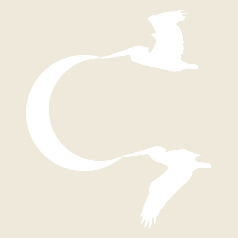 Les oiseaux et la lune