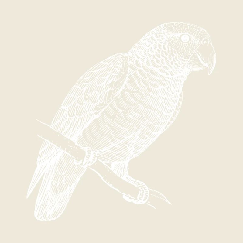 Beautiful Parrot - A Gift Idea for Bird Lovers