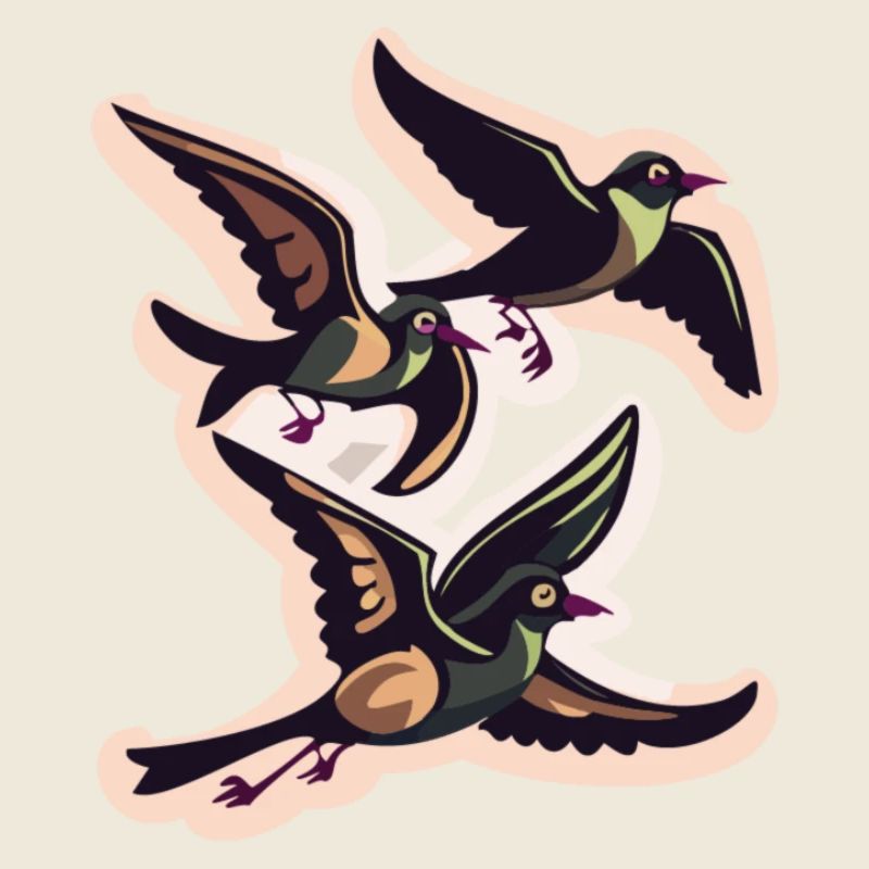 Volée d’oiseaux