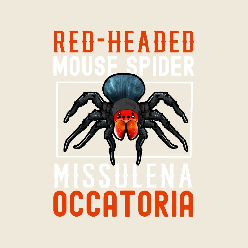 Little Red-headed Mouse Spider