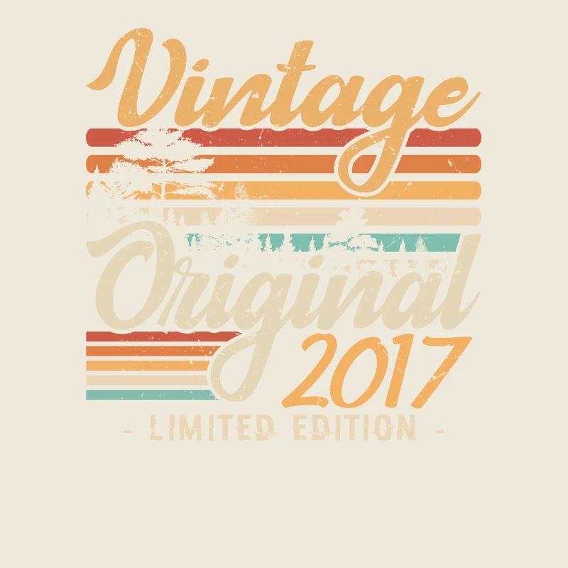 Vintage Anniversary Made in 2017 Retro 2017