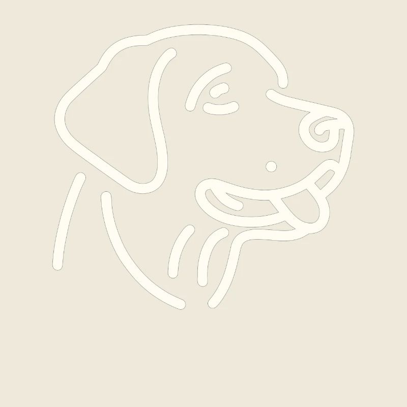 Visage de Labrador Retriever