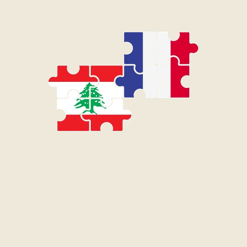 Liban France Drapeau Français Libanais