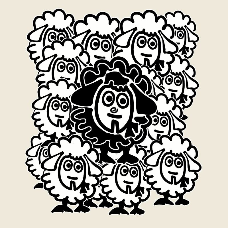 Beaucoup de moutons