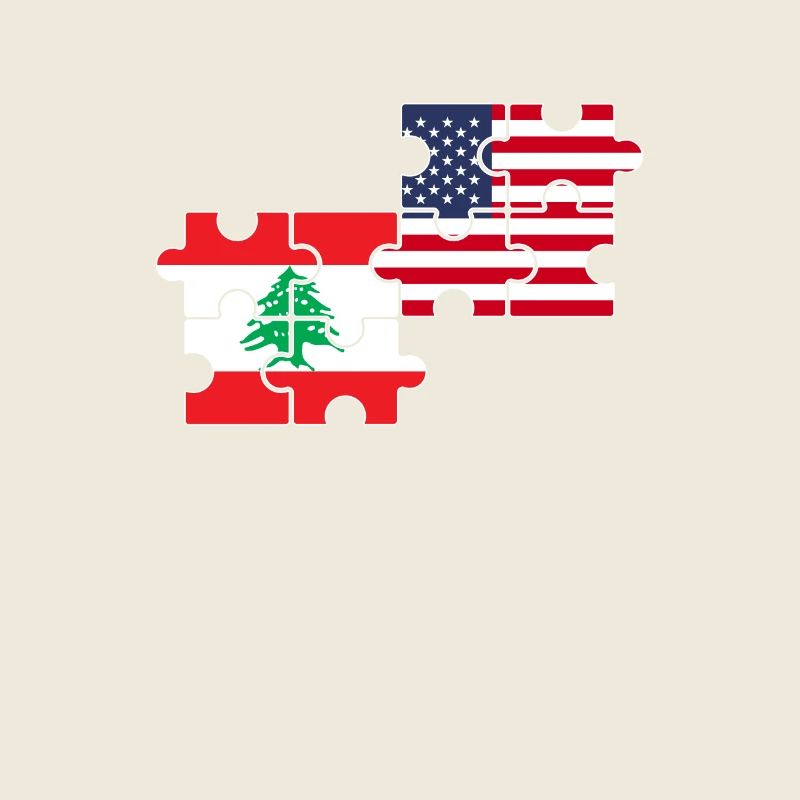 Liban États-Unis Drapeau Américain Libanais