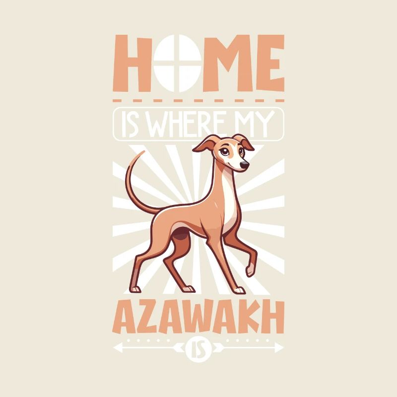 Zuhause - Azawakh