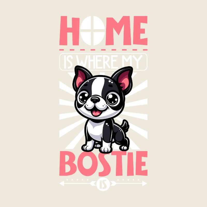Zuhause - Boston Terrier