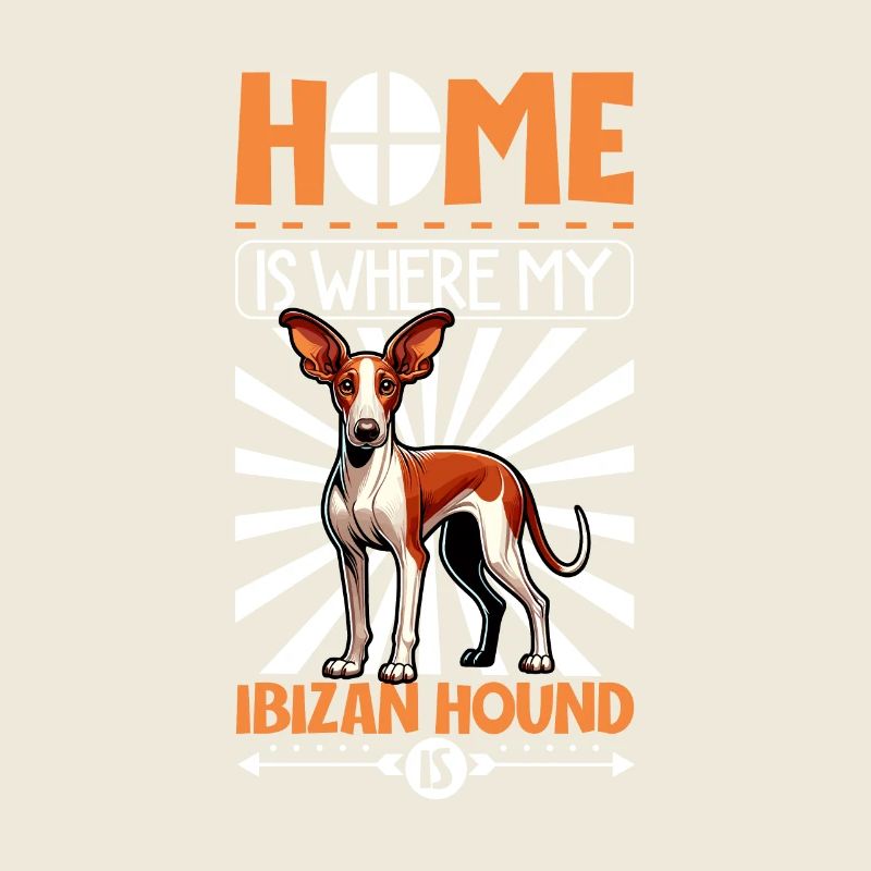 Accueil - Podenco Ibicenco