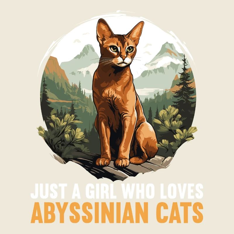 Chat d’Abyssinie Abessinierkatze