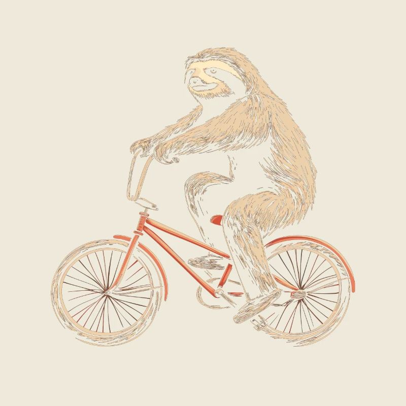 Sloth BMX Bicycle Funny Gift
