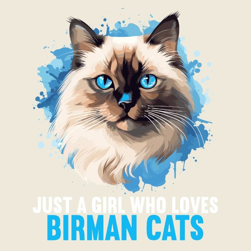 Birman Cat Birma Katze