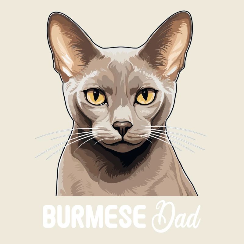 Chat birman Birmanie Katze