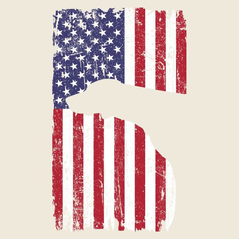 Braque de Weimar avec drapeau des États-Unis