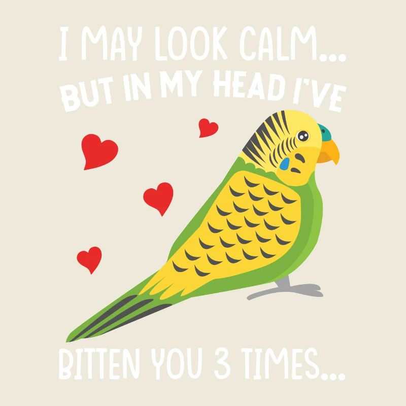 Budgerigar, Feathered Friend, Bird Watching