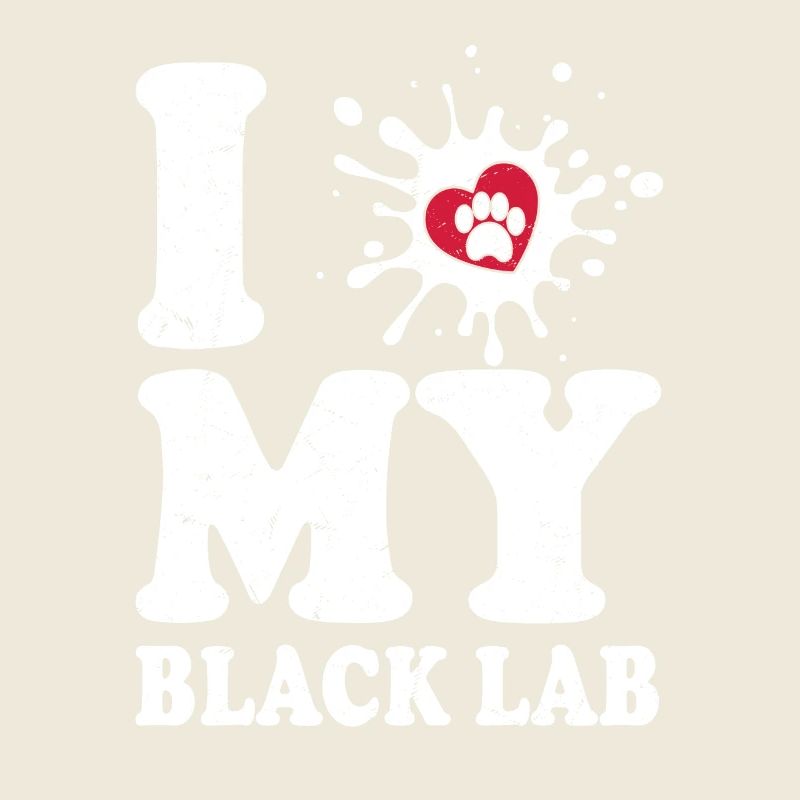 J’adore mon propriétaire de labrador labrador retriever Black Lab