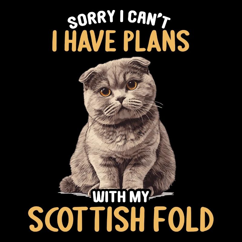 Scottish Fold Kitten Scottish Fold chat