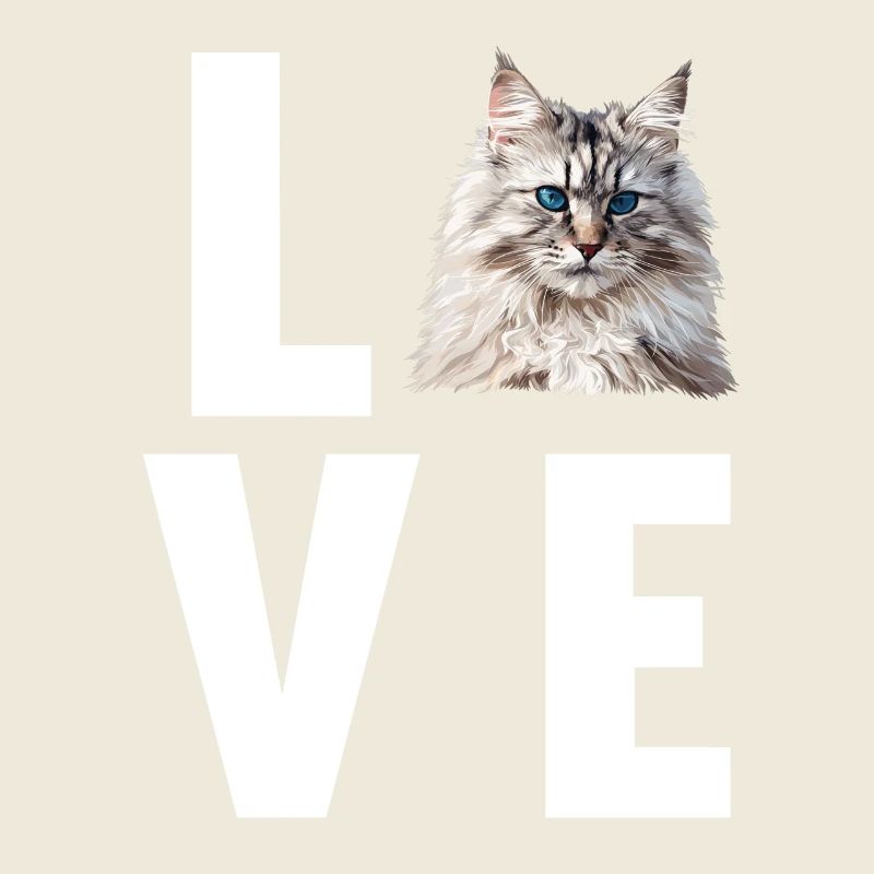 Chat Sibérien Sibirische Katze