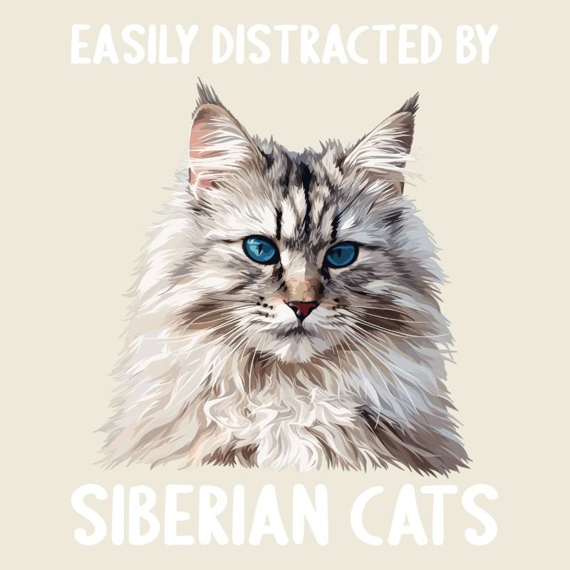 Siberian Cat Sibirische Katze