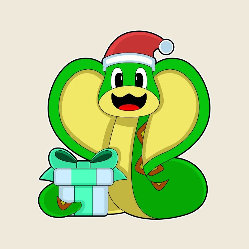 Snake Christmas Package