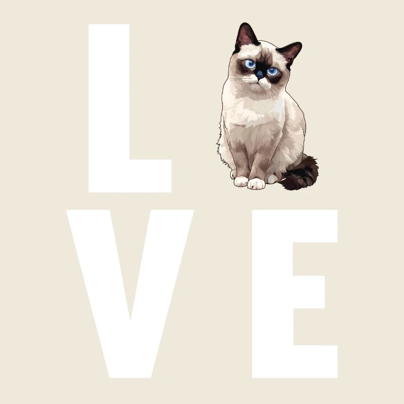 Chaton raquette Chat raquette