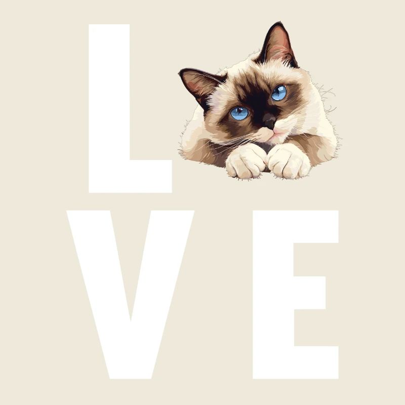 Snowshoe Kitten Snowshoe Cat