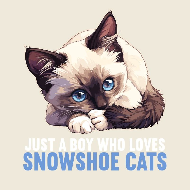 Chaton raquette Chat raquette